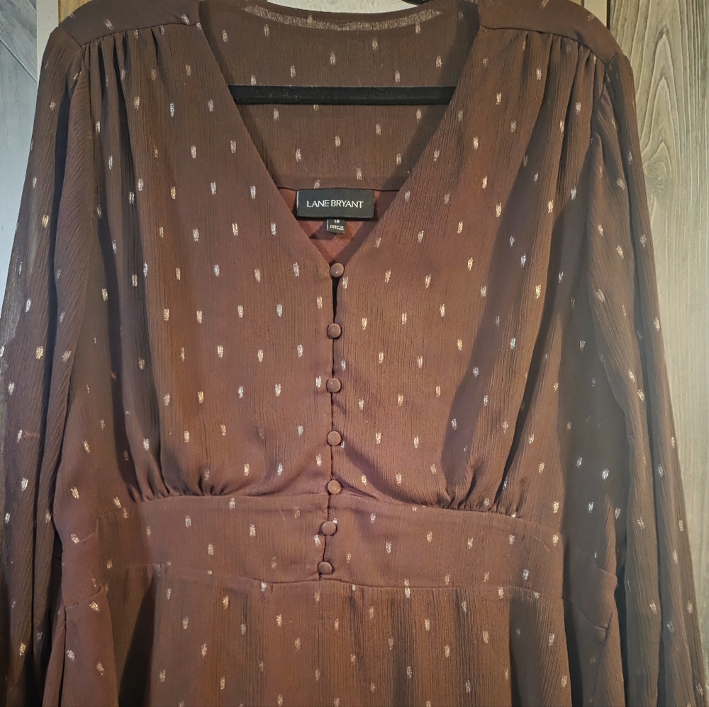 Lane Bryant Maroon Long Sleeve Top.